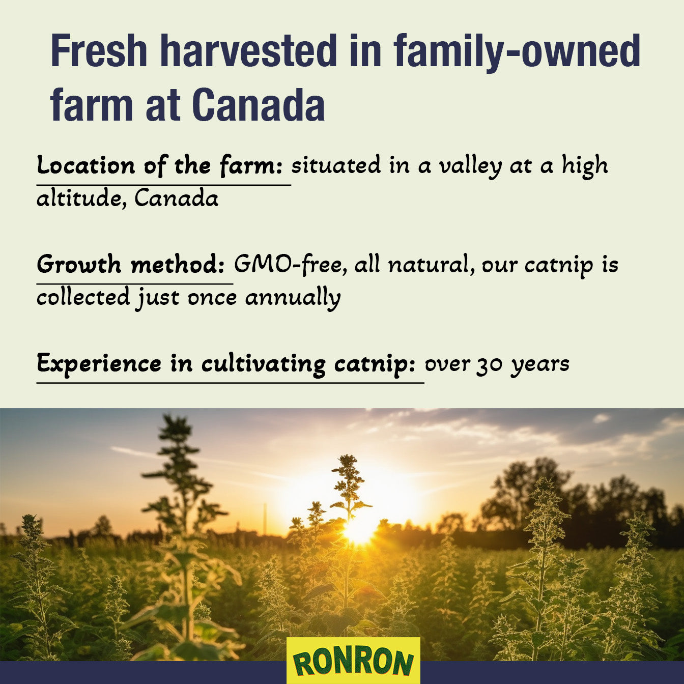RonRon Premium Catnip: Freshly Harvested, Canada Grown, Packed in USA