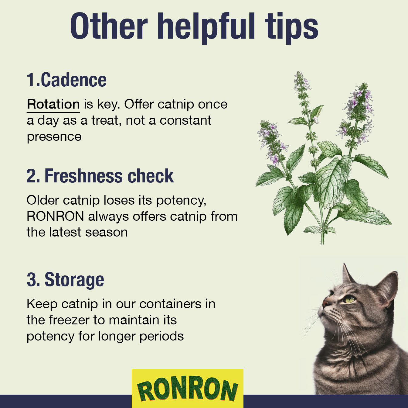RonRon Premium Catnip: Freshly Harvested, Canada Grown, Packed in USA